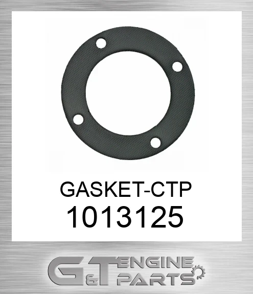 1013125 GASKET-CTP