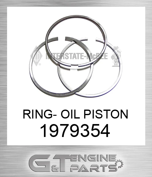 1979354 RING- OIL PISTON