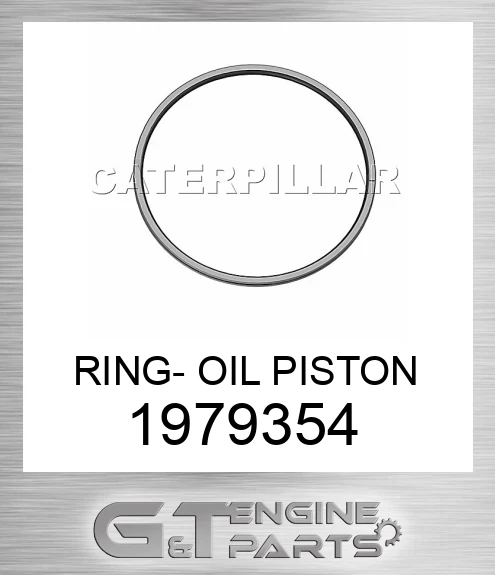 1979354 RING- OIL PISTON