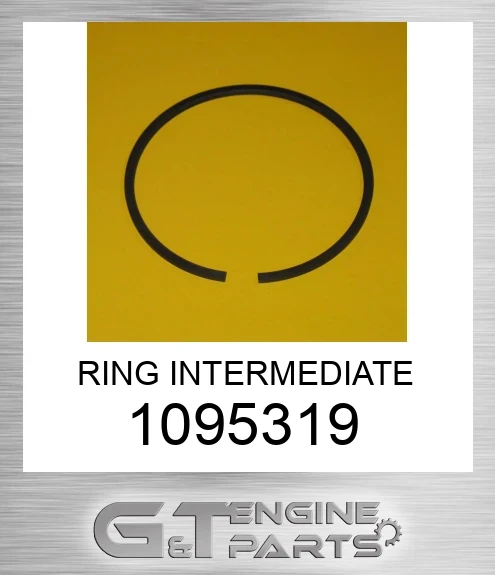 1095319 RING INTERMEDIATE