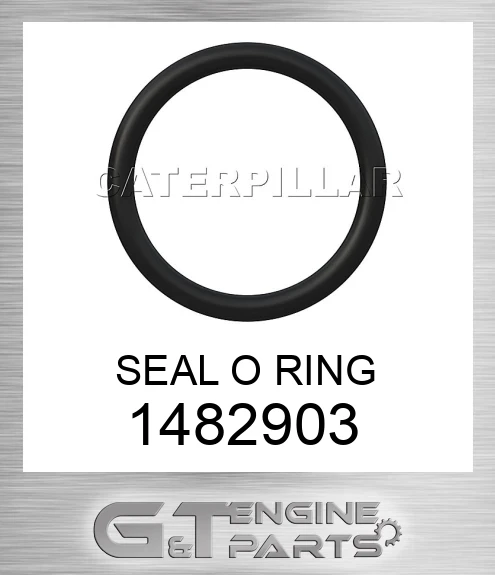 Amazon.com: popxsdo 4 Pieces - Fog Light Trim Fits Driver and Passenger  Side 14863453 : Automotive