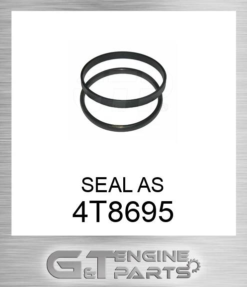 4T8695 SEAL AS