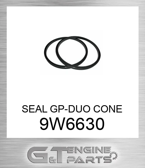9W6630 SEAL GP-DUO CONE