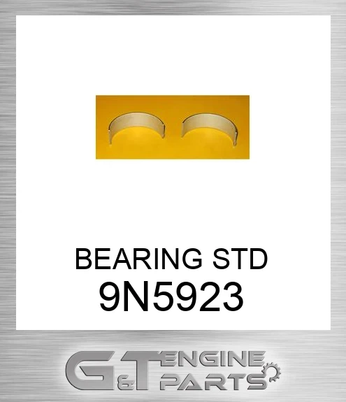 9N5923 BEARING STD