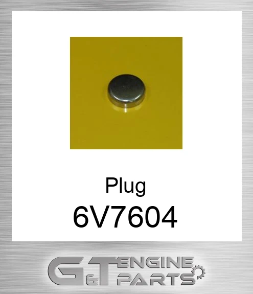 6V-7604 Plug