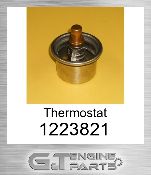 122-3821 Thermostat