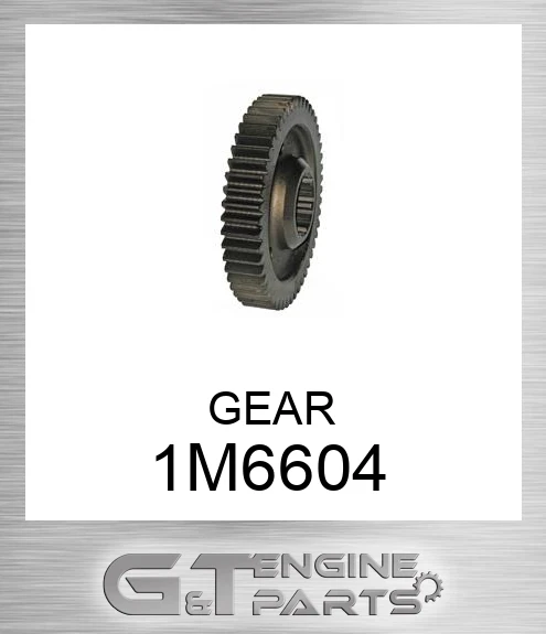 1M6604 Gear