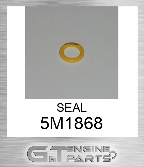 5M1868 SEAL