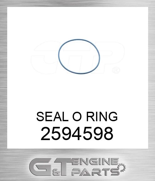2594598 SEAL O RING