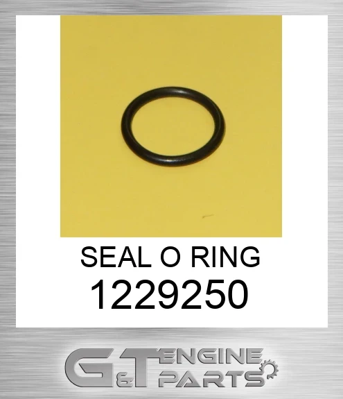 1229250 SEAL O RING