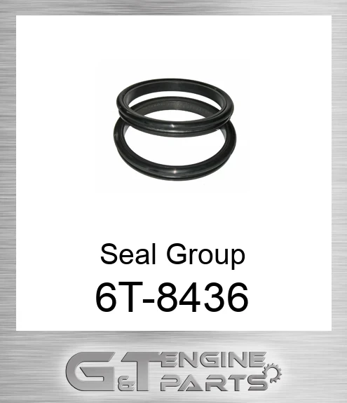 6T8436 Seal GP. Duo-cone