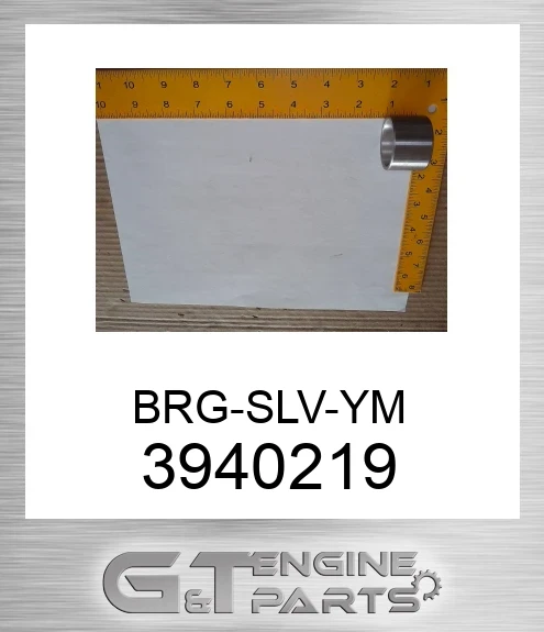 394-0219 BRG-SLV-YM