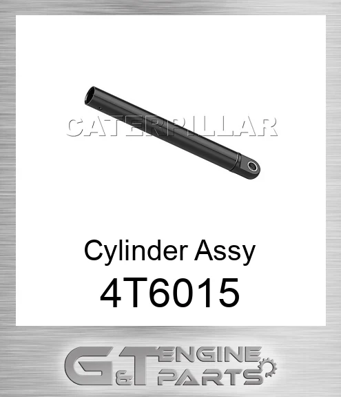 4T6015 Cylinder Assy