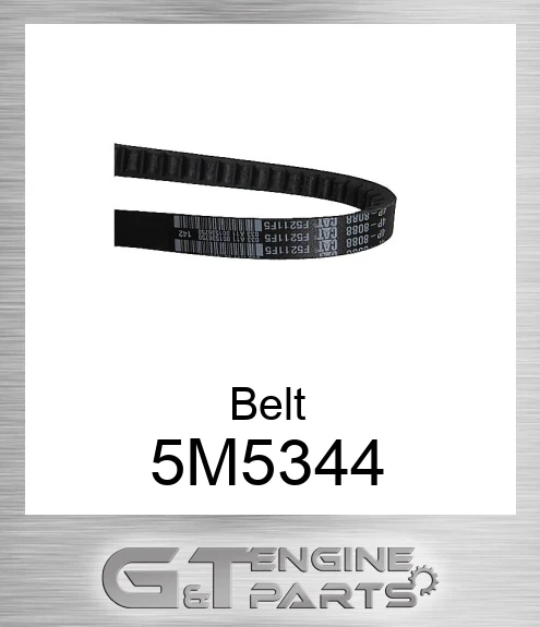 5M5344 Belt