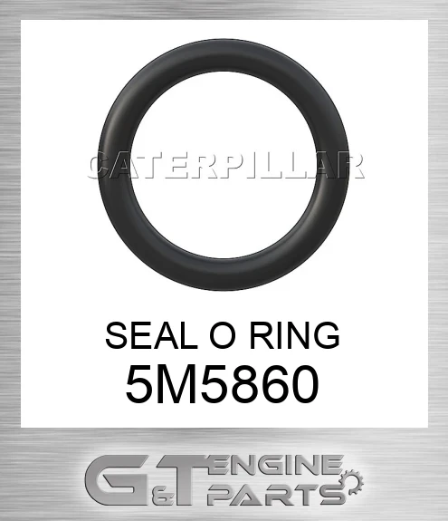 5M5860 SEAL O RING
