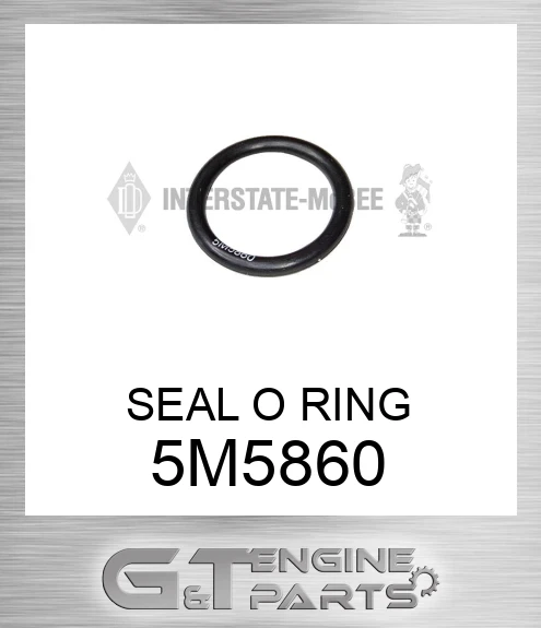5M5860 SEAL O RING