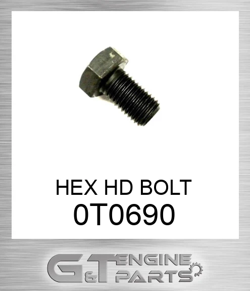 0T-0690 HEX HD BOLT