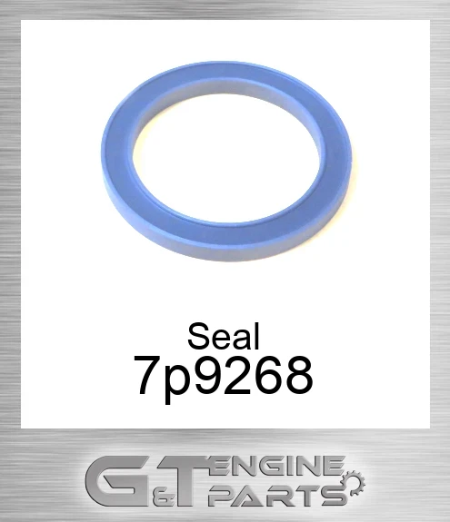 7P9268 Seal