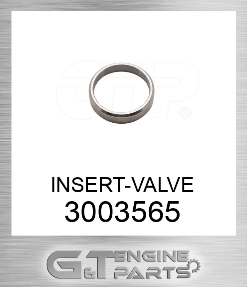 3003565 INSERT-VALVE