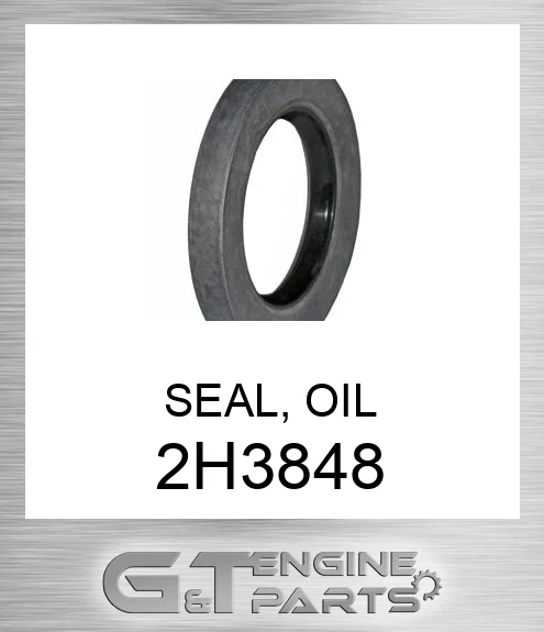 2H3848 SEAL, OIL