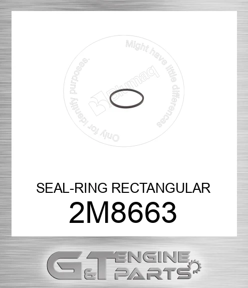 2M8663 SEAL-RING RECTANGULAR
