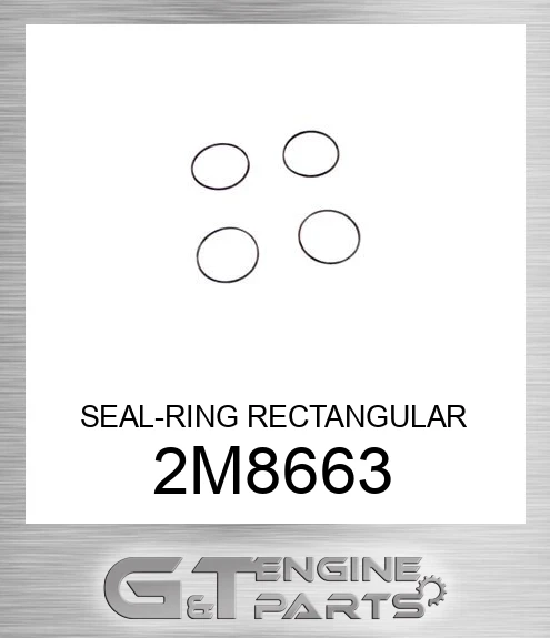 2M8663 SEAL-RING RECTANGULAR