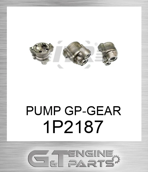 1P2187 PUMP GP-GEAR