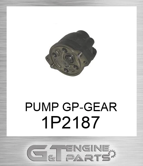 1P2187 PUMP GP-GEAR