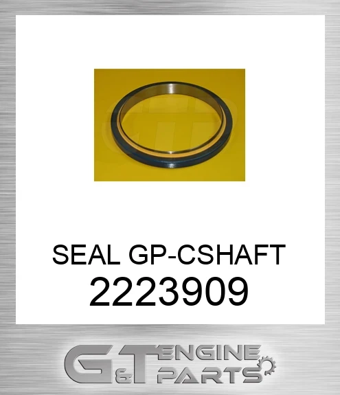 2223909 SEAL GP-CSHAFT
