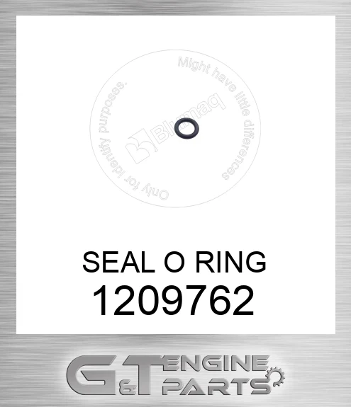 1209762 SEAL O RING
