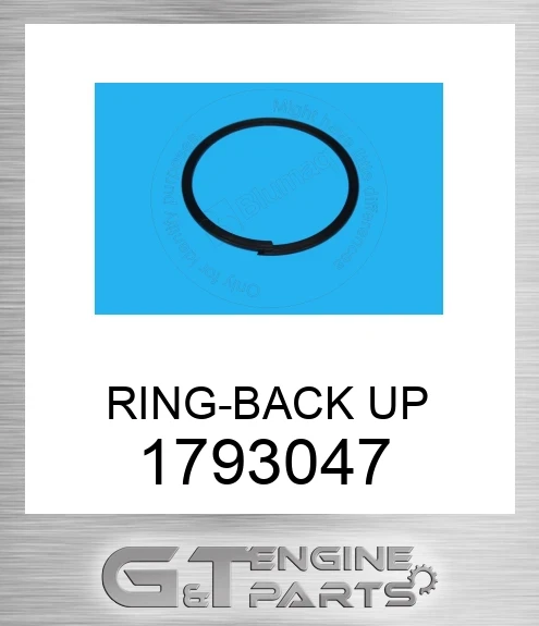 1793047 RING-BACK UP