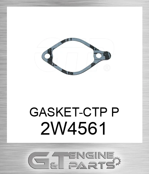 2W4561 GASKET-CTP P