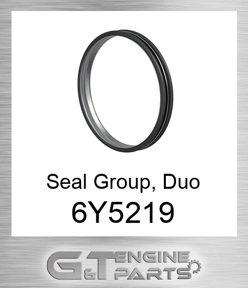 6Y-5219 Seal Group, Duo