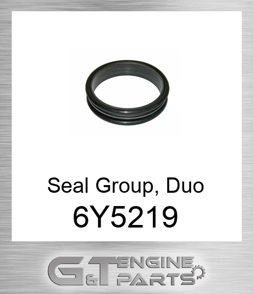 6Y-5219 Seal GP. Duo-cone