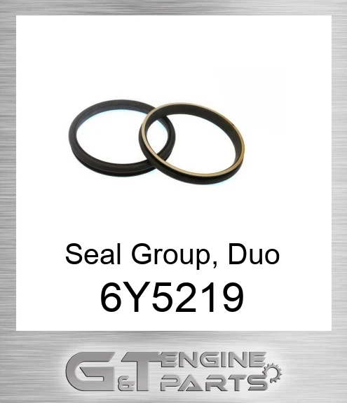 6Y-5219 Seal Group, Duo