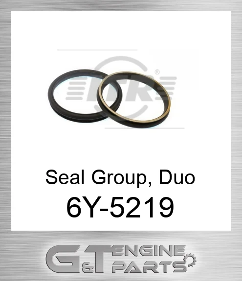 6Y-5219 Seal GP. Duo-cone