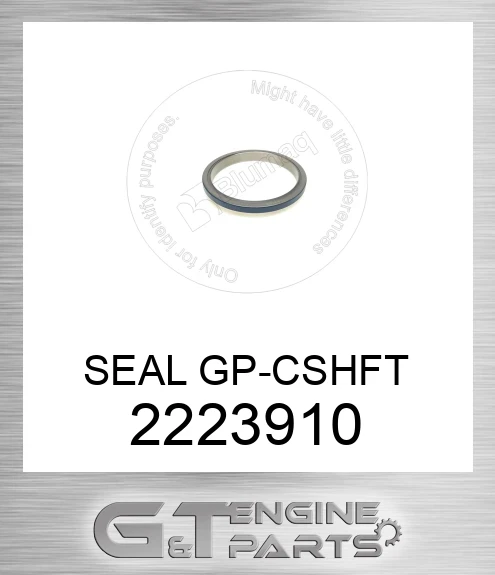 2223910 SEAL GP-CSHFT