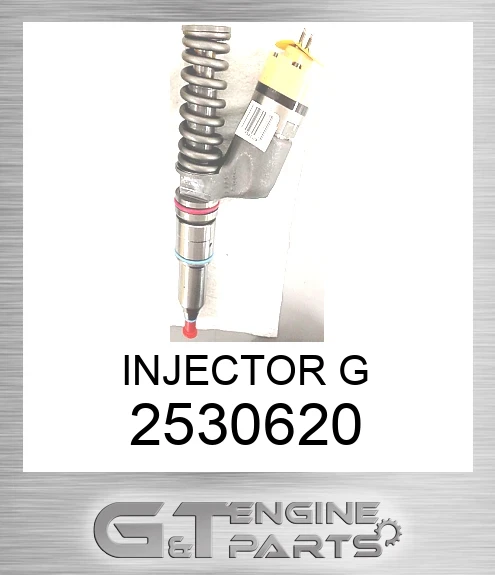 2530620 INJECTOR G