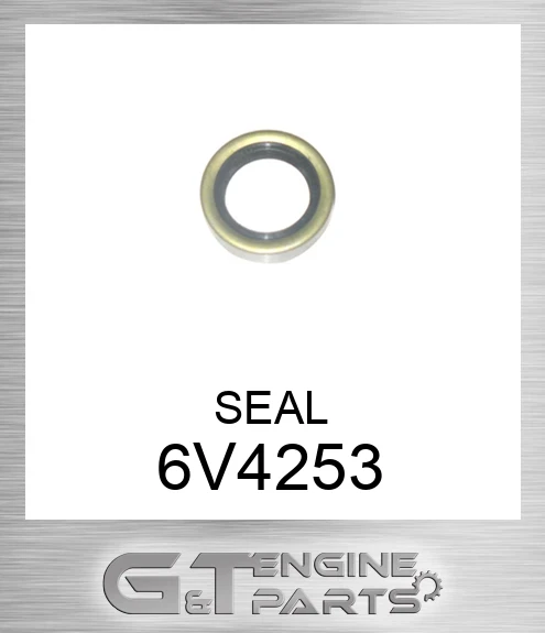 6V4253 SEAL