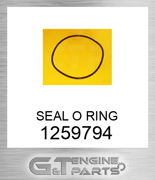 1259794 SEAL O RING