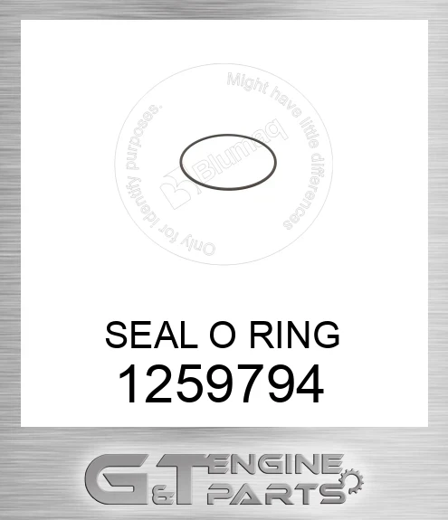 1259794 SEAL O RING