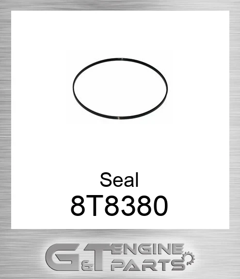 8T8380 Seal