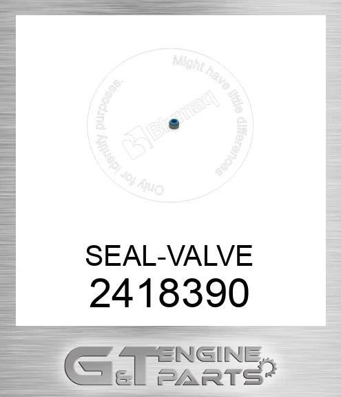 2418390 SEAL-VALVE