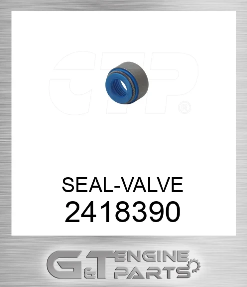 2418390 SEAL-VALVE