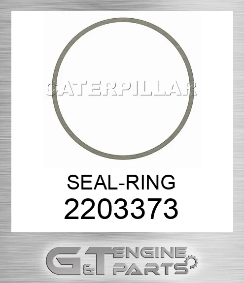 2203373 SEAL-RING
