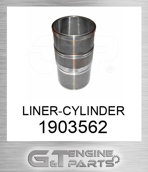 1903562 LINER-CYLINDER
