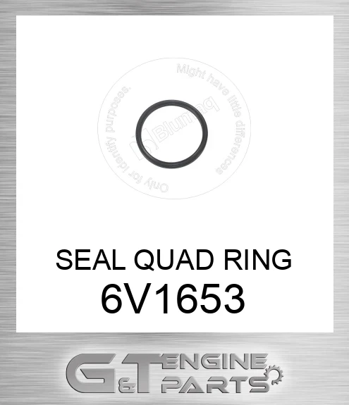 6V1653 SEAL QUAD RING