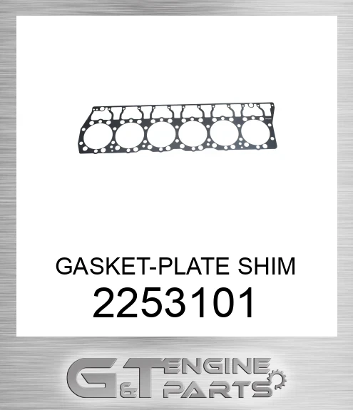 2253101 GASKET-PLATE SHIM