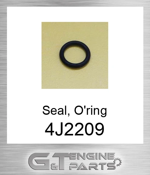 4J2209 Seal, O'ring