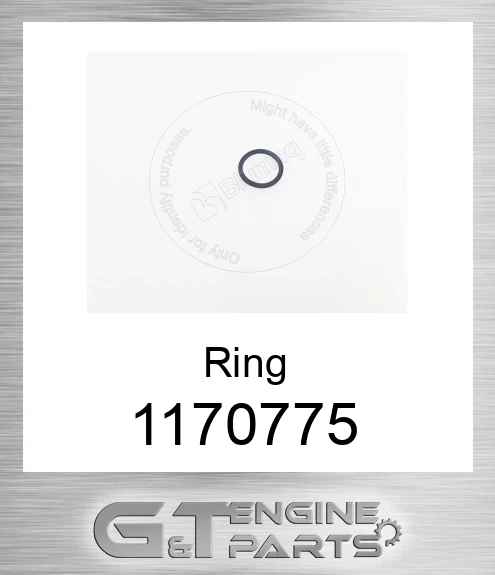 1170775 Back-up Ring